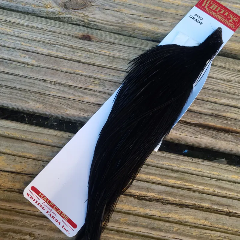 Whiting 1/2 Pro-Grade Dry Fly Rooster Cape in Black-1